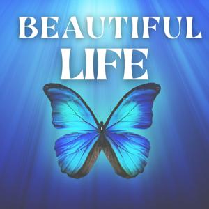 Beautiful Life Meditations