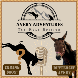 Uncategorized Archives - Avery Adventures