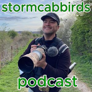 stormcabbirds birding podcast