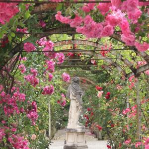Il Giardino Segreto