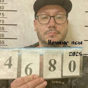 Ночные псы