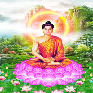 Kinh Sách Trực Tuyến