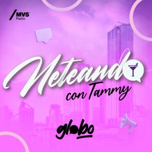 Neteando con Tammy