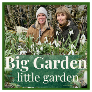 Big Garden Little Garden