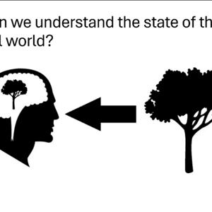 Sensing Vs. Seeing