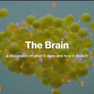The Brain: A Discussion of What it Does and How it Does it