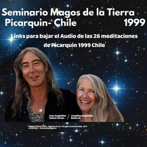 Seminario Magos de la Tierra Picarquín