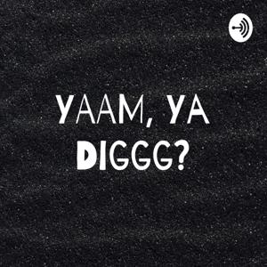 YAAM, Ya Diggg?