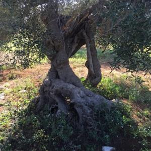 Luce alla ricerca dell'UOMO