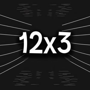 12х3