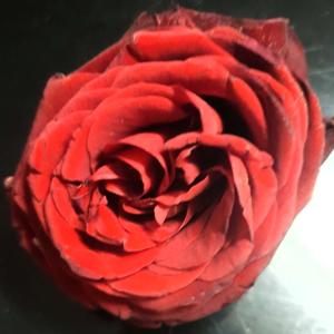 Empress Eye Clear's Podcast