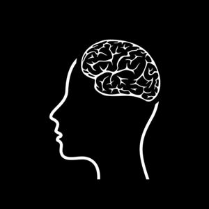 Physology by The Podcast Project