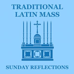 Traditional Latin Mass Sunday Reflections