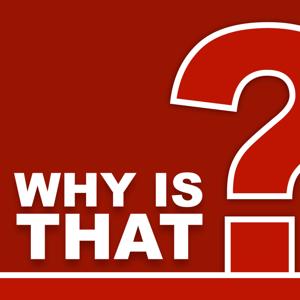 WHY IS THAT?