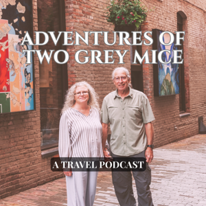 Adventures of Two Grey Mice