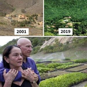 From dead land to green paradise