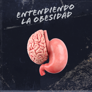 Entendiendo la Obesidad