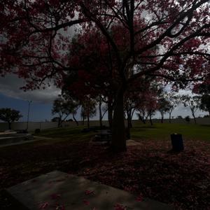 Corrupted Files