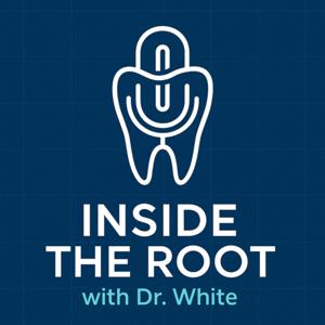 INSIDE THE ROOT: ENDODONTICS EXPLAINED