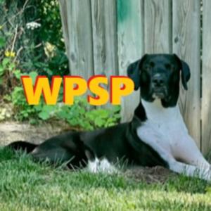 We Pick Sports Podcast