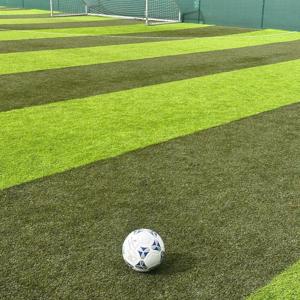 Turf Conversations