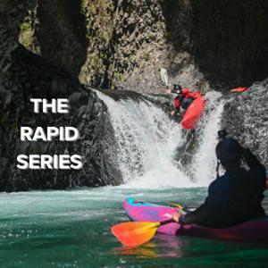 The Rapid Series by Larry Meisner