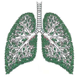 Early Lungs Journal Club