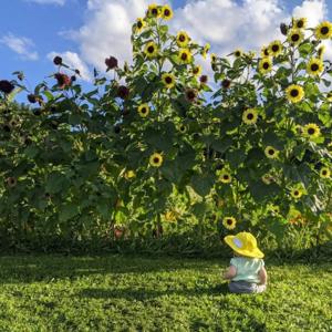 Pondering Parenthood