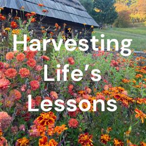 Harvesting Life’s Lessons