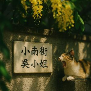 小南街吳小姐