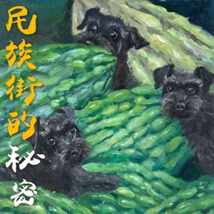 民族街的秘密