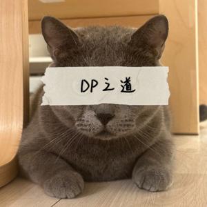 DP之道