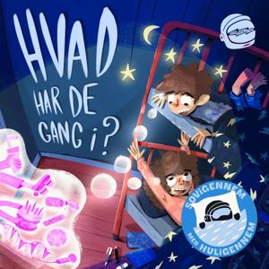 Hvad har de gang i?