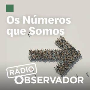 Os Números que Somos