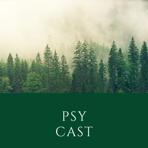 PSYCAST /  Пока все не разложу