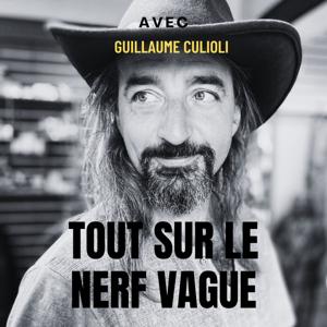 Nerf Vague