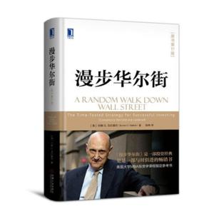 解读《漫步华尔街》