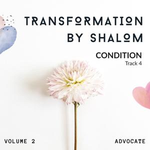 Atmospheres of Shalom: Vol. 2 – Transformation by Shalom - Track 4: Condition