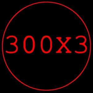 300X3.COM