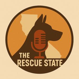 The Rescue State