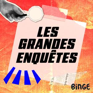 Les grandes enquêtes