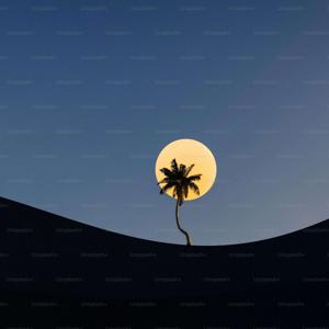 The Cultural Impact of Flokong in 2025