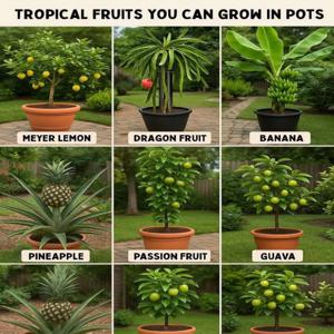 Grow Your Plant Bigger, Simple Hack!