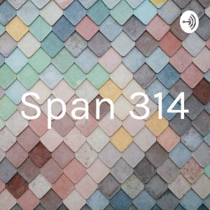 Span 314