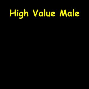 High Value Male | Mindset for Men