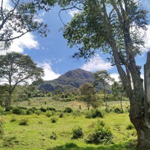 Leyendas I.E. La Estancia