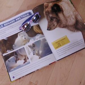 Histoires pour et par des enfants