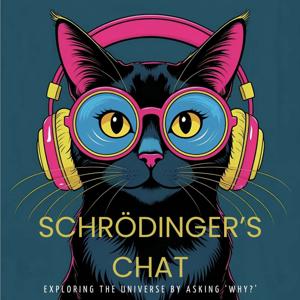 Schrödinger’s Chat