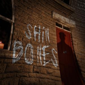 Shinbones