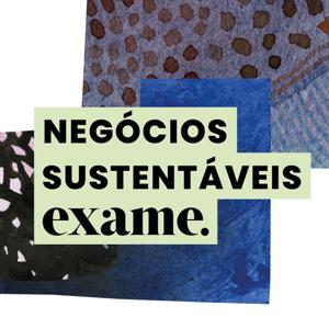 Negócios Sustentáveis EXAME